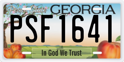 GA license plate PSF1641