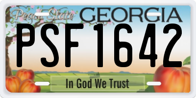 GA license plate PSF1642