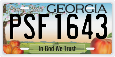 GA license plate PSF1643