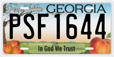 GA license plate PSF1644