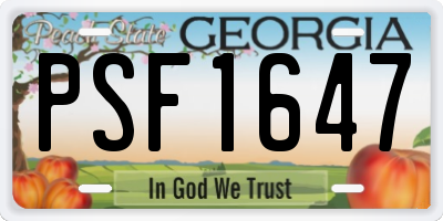 GA license plate PSF1647