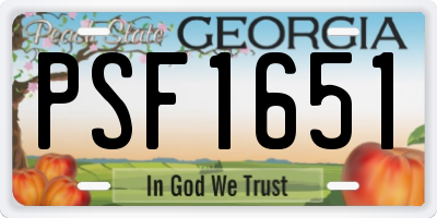 GA license plate PSF1651