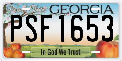 GA license plate PSF1653