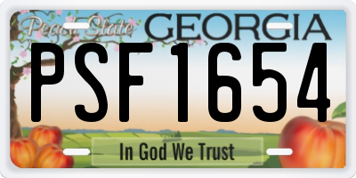 GA license plate PSF1654