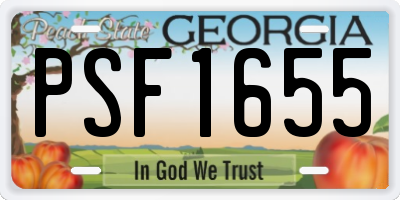 GA license plate PSF1655