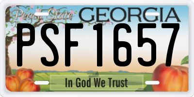 GA license plate PSF1657