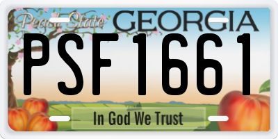 GA license plate PSF1661