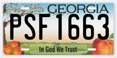 GA license plate PSF1663