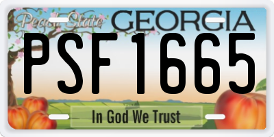 GA license plate PSF1665