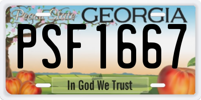 GA license plate PSF1667