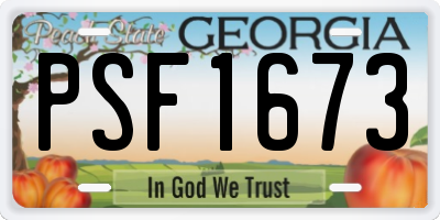 GA license plate PSF1673