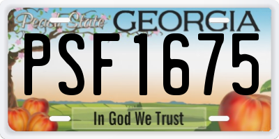 GA license plate PSF1675