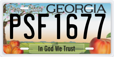 GA license plate PSF1677