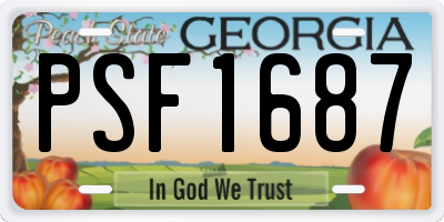GA license plate PSF1687