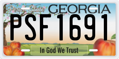 GA license plate PSF1691