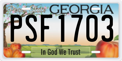GA license plate PSF1703
