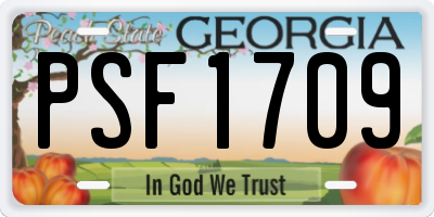 GA license plate PSF1709
