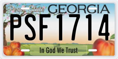 GA license plate PSF1714