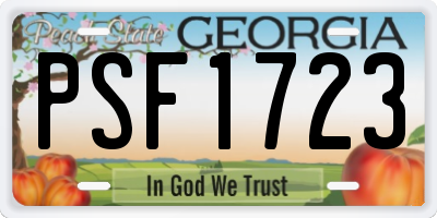 GA license plate PSF1723