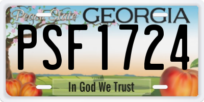 GA license plate PSF1724