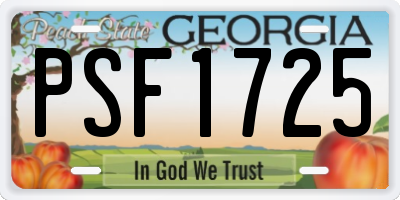 GA license plate PSF1725