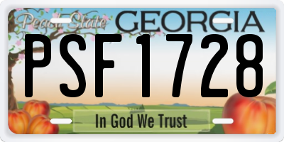 GA license plate PSF1728