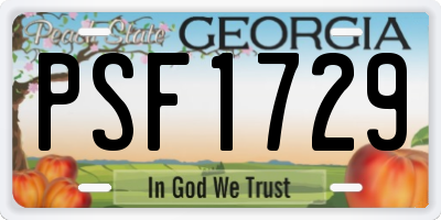 GA license plate PSF1729