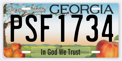 GA license plate PSF1734