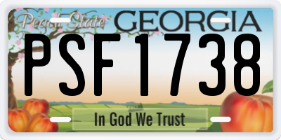 GA license plate PSF1738