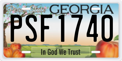 GA license plate PSF1740