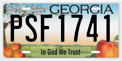 GA license plate PSF1741