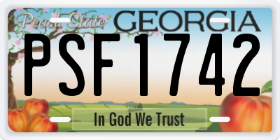 GA license plate PSF1742