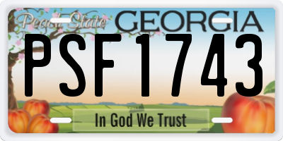 GA license plate PSF1743