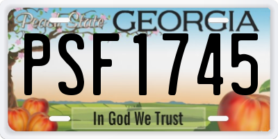 GA license plate PSF1745