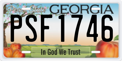 GA license plate PSF1746