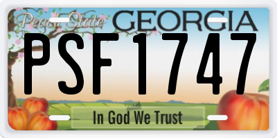 GA license plate PSF1747