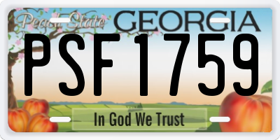 GA license plate PSF1759