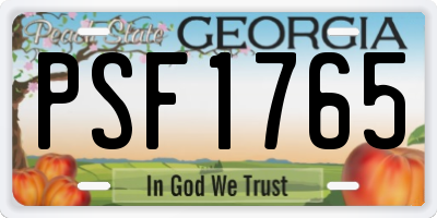 GA license plate PSF1765