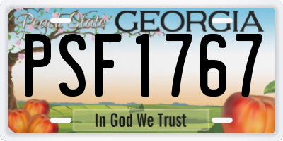 GA license plate PSF1767