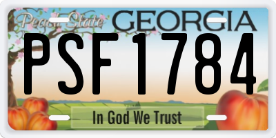GA license plate PSF1784