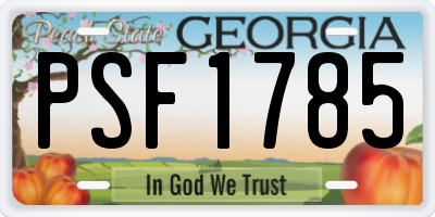 GA license plate PSF1785