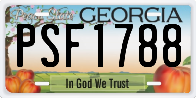 GA license plate PSF1788