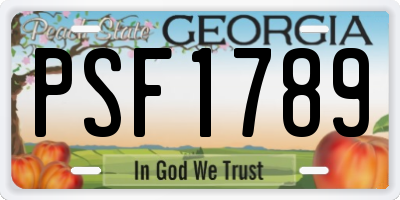 GA license plate PSF1789