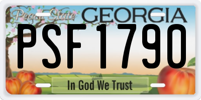 GA license plate PSF1790