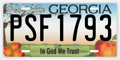 GA license plate PSF1793