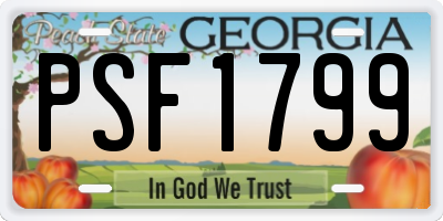 GA license plate PSF1799