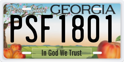 GA license plate PSF1801