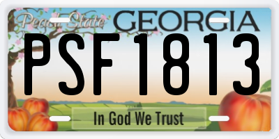 GA license plate PSF1813