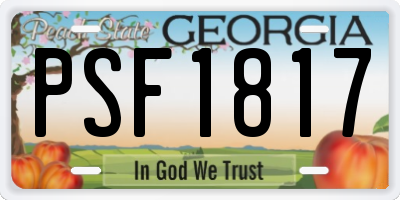 GA license plate PSF1817