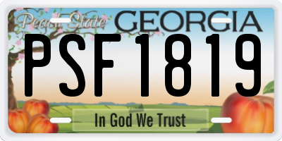 GA license plate PSF1819